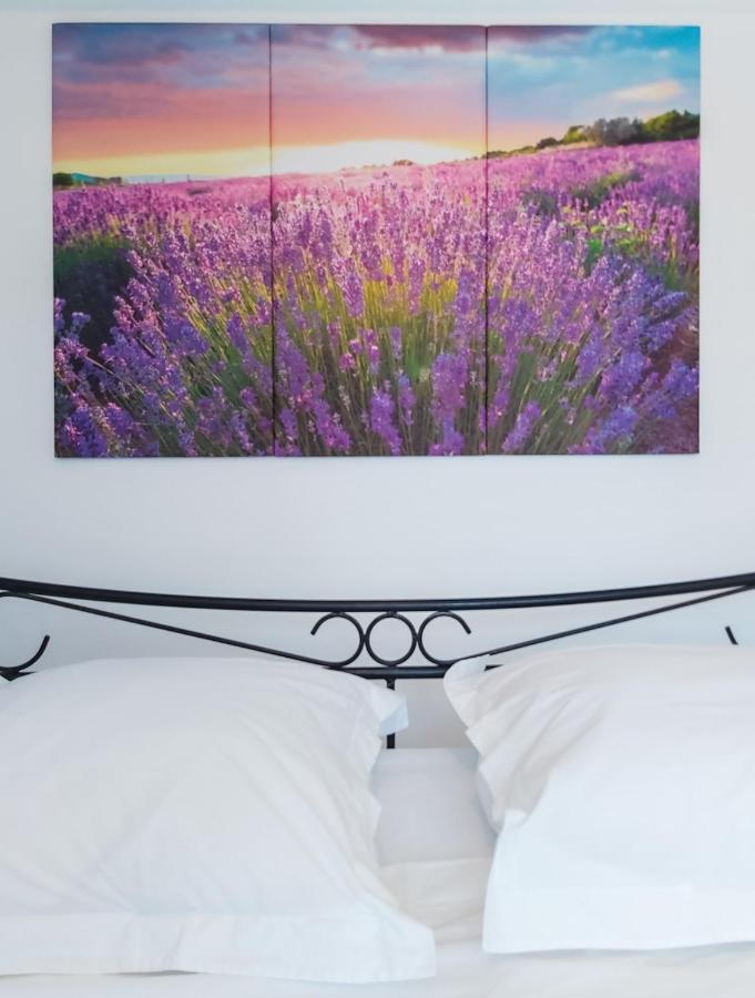 Etoilevacances Chambres D Hotes Campagne En Lavande Saint-Cezaire-sur-Siagne Экстерьер фото